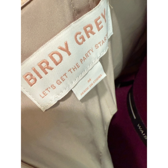 Birdy Grey Champagne Satin Formal NEW Medium - Picture 3 of 8